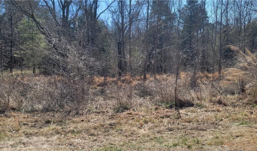 Photo #2 of 5424 Wild Turkey, Whitsett, NC 3.5 acres