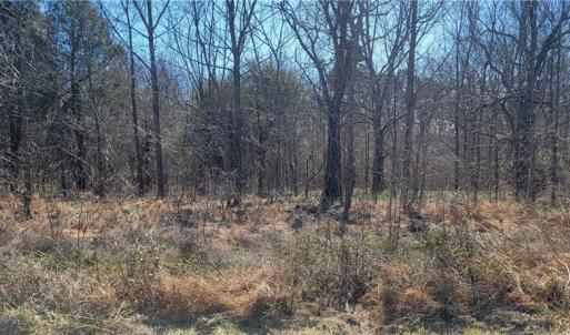 Photo #3 of 5430 Wild Turkey, Whitsett, NC 8.7 acres