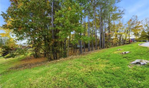 Photo #9 of 301 Bing Crosby, Advance, NC 0.2 acres