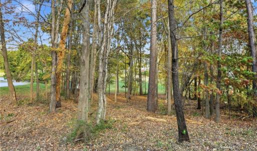 Photo #4 of 301 Bing Crosby, Advance, NC 0.2 acres