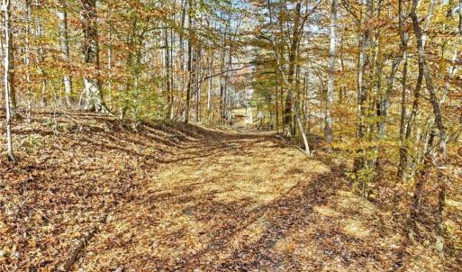 Photo #48 of 960 Riverview, Spencer, VA 10.3 acres