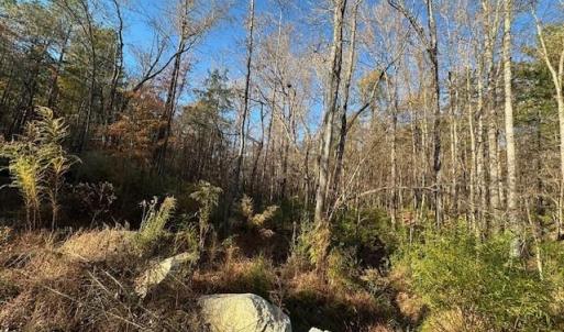 Photo #6 of 999 White Cross, Chapel Hill, NC 13.8 acres