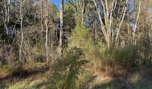 Photo #3 of 999 White Cross, Chapel Hill, NC 13.8 acres