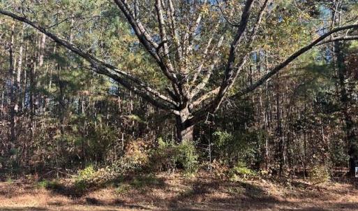 Photo #1 of 999 White Cross, Chapel Hill, NC 13.8 acres