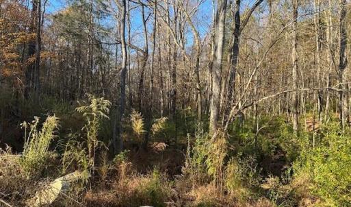 Photo #5 of 999 White Cross, Chapel Hill, NC 13.8 acres