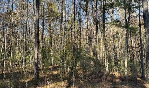 Photo #4 of 999 White Cross, Chapel Hill, NC 13.8 acres