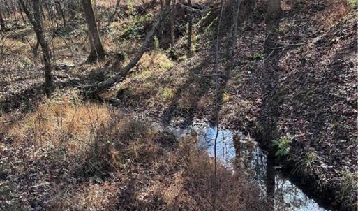 Photo #1 of 5 Stephens Trail, Sandy Ridge, NC 10.4 acres