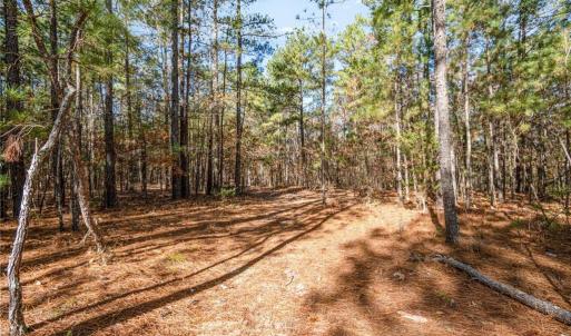 Photo #6 of Brookside, West End, NC 3.5 acres