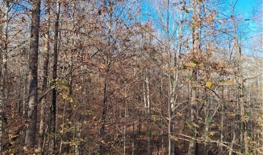 Photo #3 of 6819 Long Meadow, Whitsett, NC 12.7 acres