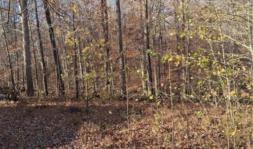 Photo #5 of 6819 Long Meadow, Whitsett, NC 12.7 acres