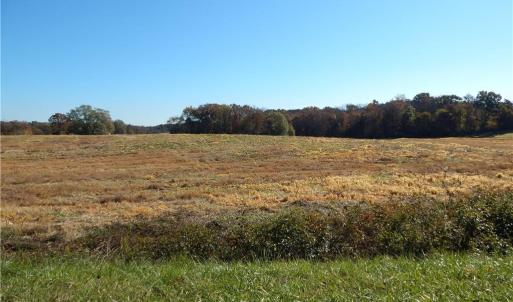 Photo #5 of Carriker, Albemarle, NC 28.7 acres