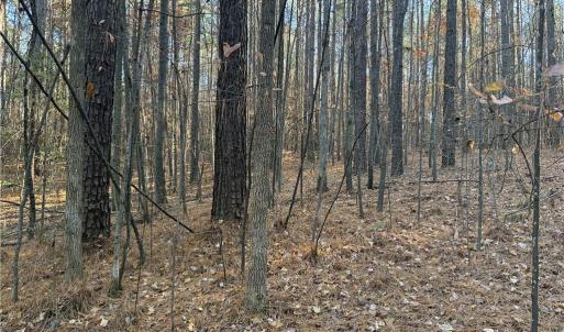 Photo #6 of 19.6 acres Willie, Seagrove, NC 19.6 acres