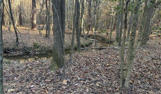 Photo #13 of 19.6 acres Willie, Seagrove, NC 19.6 acres