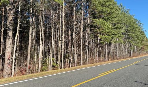 Photo #17 of 19.6 acres Willie, Seagrove, NC 19.6 acres