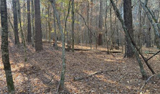 Photo #16 of 19.6 acres Willie, Seagrove, NC 19.6 acres