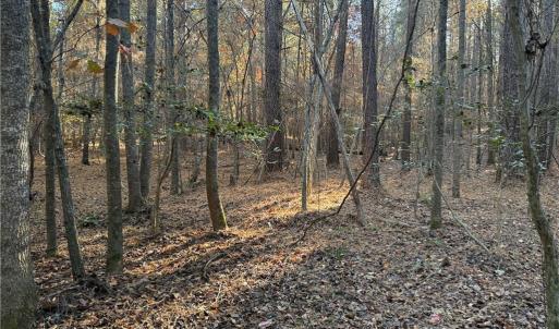 Photo #12 of 19.6 acres Willie, Seagrove, NC 19.6 acres