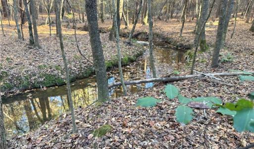 Photo #1 of 19.6 acres Willie, Seagrove, NC 19.6 acres