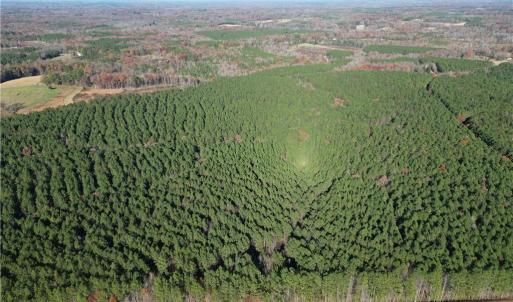 Photo #20 of 19.6 acres Willie, Seagrove, NC 19.6 acres