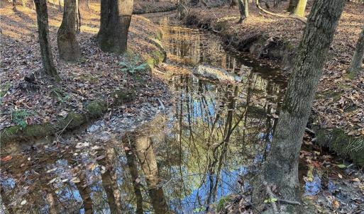 Photo #9 of 19.6 acres Willie, Seagrove, NC 19.6 acres