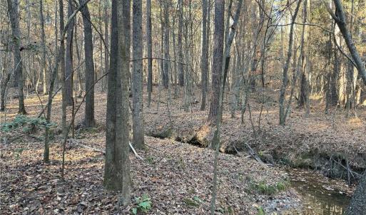 Photo #10 of 19.6 acres Willie, Seagrove, NC 19.6 acres