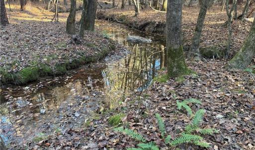 Photo #14 of 19.6 acres Willie, Seagrove, NC 19.6 acres