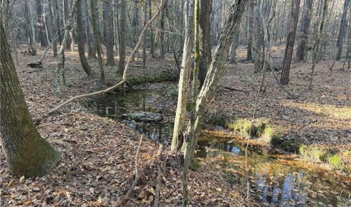 Photo #15 of 19.6 acres Willie, Seagrove, NC 19.6 acres