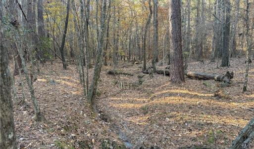Photo #11 of 19.6 acres Willie, Seagrove, NC 19.6 acres