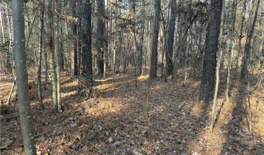 Photo #4 of 19.6 acres Willie, Seagrove, NC 19.6 acres