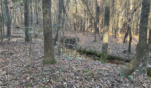 Photo #8 of 19.6 acres Willie, Seagrove, NC 19.6 acres