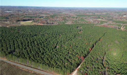 Photo #21 of 19.6 acres Willie, Seagrove, NC 19.6 acres