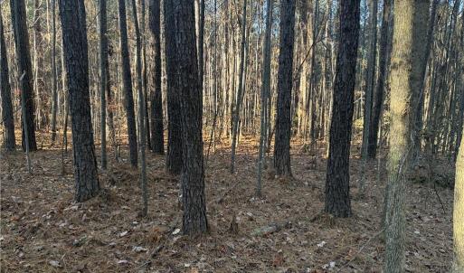 Photo #6 of Lot 11 Woods, Seagrove, NC 11.5 acres