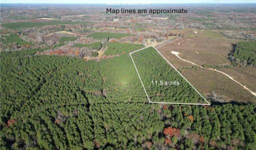 Photo #1 of Lot 11 Woods, Seagrove, NC 11.5 acres