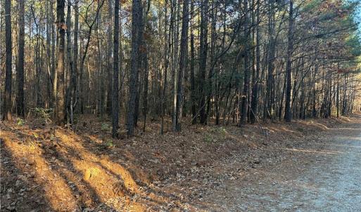 Photo #5 of Lot 11 Woods, Seagrove, NC 11.5 acres