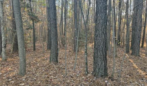 Photo #9 of Lot 11 Woods, Seagrove, NC 11.5 acres