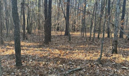 Photo #10 of Lot 11 Woods, Seagrove, NC 11.5 acres
