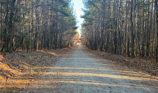 Photo #4 of Lot 11 Woods, Seagrove, NC 11.5 acres