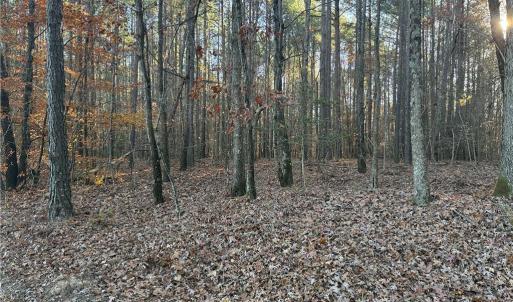 Photo #8 of Lot 11 Woods, Seagrove, NC 11.5 acres