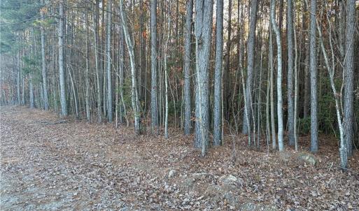 Photo #2 of Lot 12B Woods, Seagrove, NC 6.0 acres