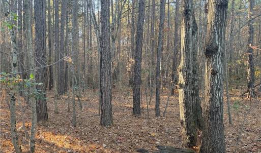 Photo #7 of Lot 12B Woods, Seagrove, NC 6.0 acres