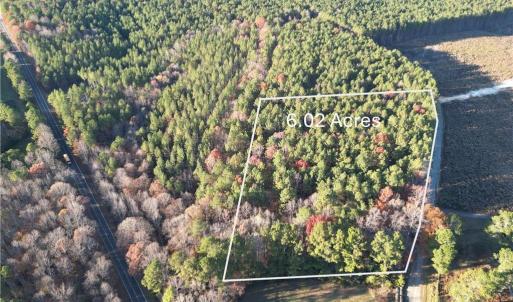 Photo #1 of Lot 12B Woods, Seagrove, NC 6.0 acres