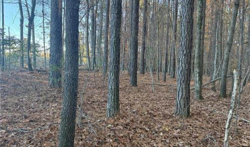 Photo #8 of Lot 12B Woods, Seagrove, NC 6.0 acres