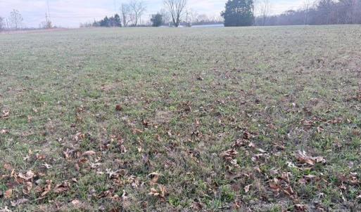 Photo #2 of Tom Ball, Randleman, NC 8.2 acres