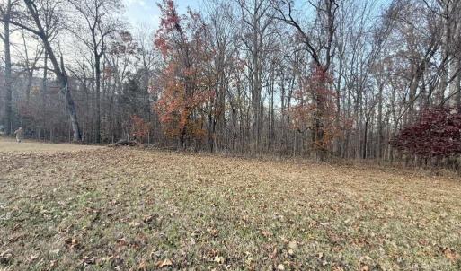 Photo #3 of Tom Ball, Randleman, NC 8.2 acres
