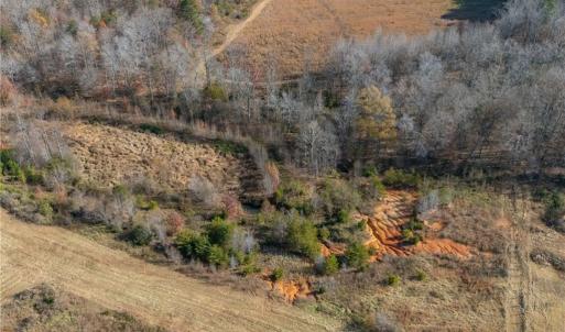 Pond site at the back of the property