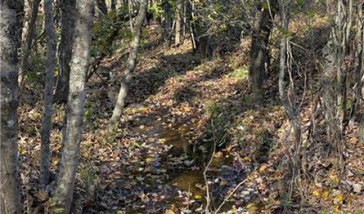 Photo #13 of 3.1 AC +/- Long Valley, Greensboro, NC 3.1 acres