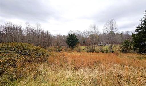 Photo #22 of 3.1 AC +/- Long Valley, Greensboro, NC 3.1 acres