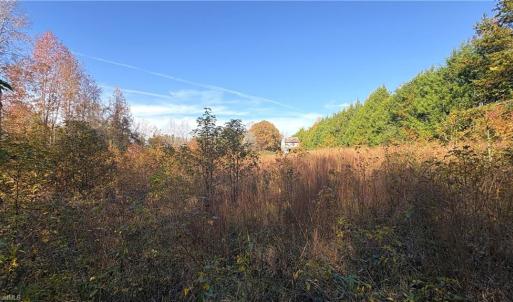Photo #11 of 3.1 AC +/- Long Valley, Greensboro, NC 3.1 acres