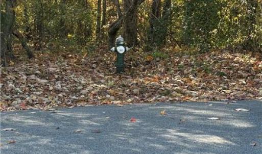 Photo #19 of 3.1 AC +/- Long Valley, Greensboro, NC 3.1 acres