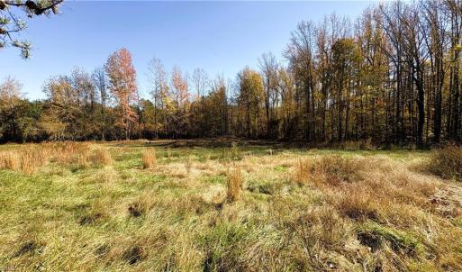 Photo #8 of 3.1 AC +/- Long Valley, Greensboro, NC 3.1 acres