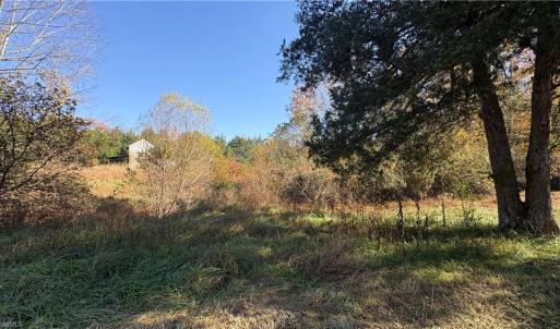 Photo #17 of 3.1 AC +/- Long Valley, Greensboro, NC 3.1 acres